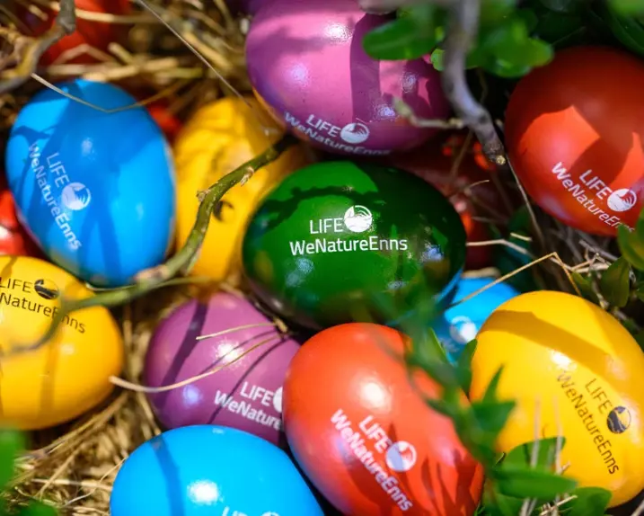 Bunte Ostereier in einer Osternest aus Stroh, bedruckt mit dem Projektnamen LIFE WeNaturEnns.